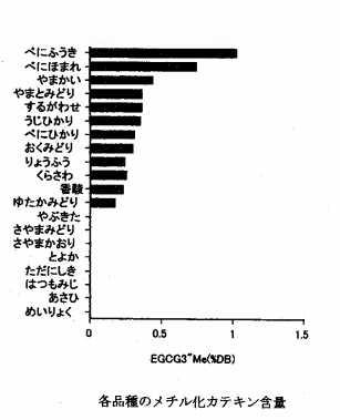 グラフべにふうき・べにふうき茶・紅富貴緑茶