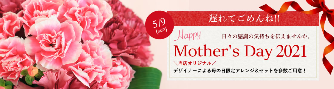 楽天市場 遅れてごめんね 母の日 Mother21 カーネーションの鉢植え プレゼント ギフト 楽天一位 色が選べるカーネーションの鉢植えと選べるお菓子セット 鉢植 送料無料 スイーツ プレゼント いつもアンのお花屋さん