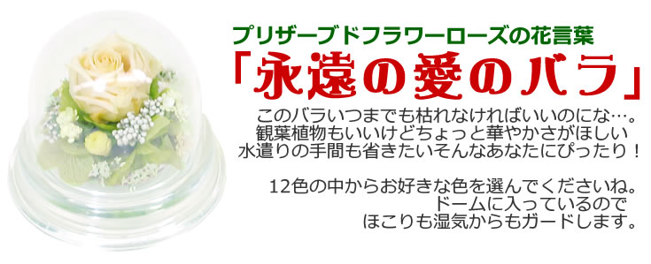 バレンタインデー に枯れないバラ♪全色揃えて 幸運 の 風水 生活を！