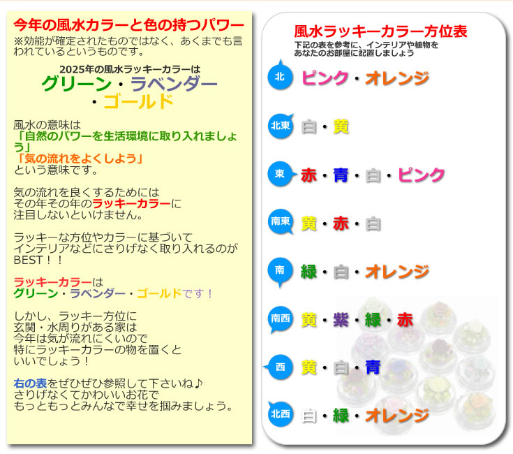 バレンタインデー に枯れないバラ♪全色揃えて 幸運 の 風水 生活を！