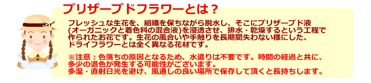 バレンタインデー に枯れないバラ♪全色揃えて 幸運 の 風水 生活を！