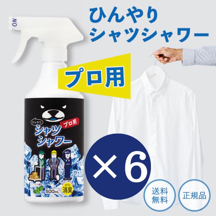 ひんやりシャツシャワー プロ用 本体 500ml 12本 ミントの香り 暑さ対策グッズ 最強 熱中症対策 グッズ 工事現場 ヘルメット 消臭 衣類 スプレー 洋服 ときわ商会 消臭スプレー デオドラントスプレー 汗臭 体臭 加齢臭 キャンプ 熱帯夜 対策グッズ 長時間 農作業 涼しい