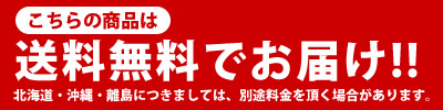 【送料無料】マックス／ビーポップ　カッティング＆プリンティングマシン CPM-100III はっきり目立つ、表示物作成の強い味方！【Bepop・本体】CPM-1003、CPM1003｜ぶんぐる