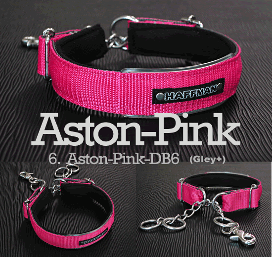 トレーニングカラー AstonTraining-Chain 20mm しつけ用首輪｜犬の首輪堂ハフマン