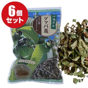 【沖縄県産】【三大野草】グァバ茶(100ｇ)茶葉 ×6個セット｜ グアバ茶 グァバ グアバ グァバ葉ポリフェノール ノンカフェイン 血糖値 お茶 健康 沖縄 お土産 みやげ）【比嘉製茶】 すべて半額