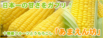 十勝産フルーツとうもろこし「あまえん坊」