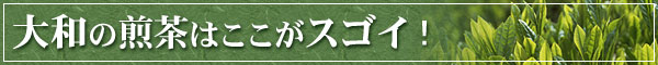 隠れた銘茶（大和茶）♪爽快な香りと程よい渋さ！業務用！大和煎茶1kｇ （1000ｇ）【緑茶・日本茶・カテキン】【あす楽対応】【HLS_DU】 【送料無料】（北海島沖縄は除く） 販売 時期