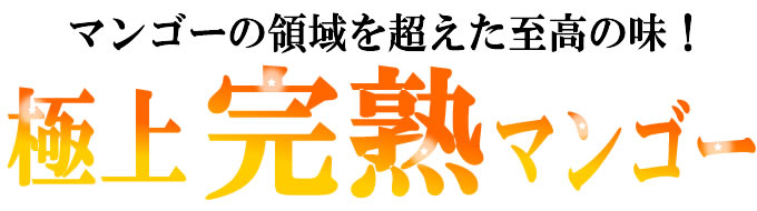 宮崎県産完熟マンゴー特大玉・２個（化粧箱入り）甘くて濃厚な味、とろけるような食感 宮崎マンゴーの最高級品 宮崎完熟マンゴーの特大サイズ  お中元ギフトにおすすめ_画像1