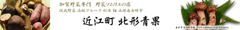 2008年10月20日入荷　石川県　能登産能登まつたけ　300g　4本　つぼみ　26,000円｜近江町北形青果