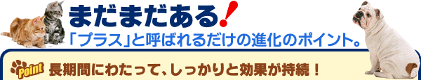 フロントラインプラス 進化のポイントノミを完全に駆除するためには