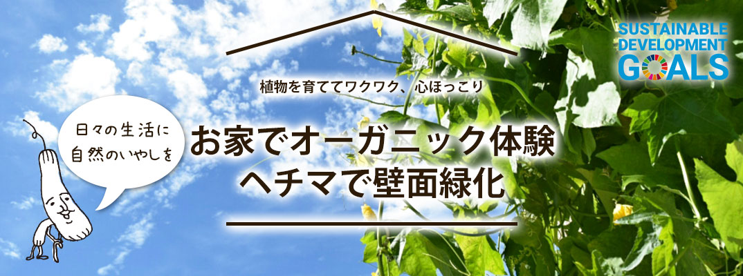 涼しく 美味しく 快適に ヘチマで壁面緑化運動 ネオナチュラル