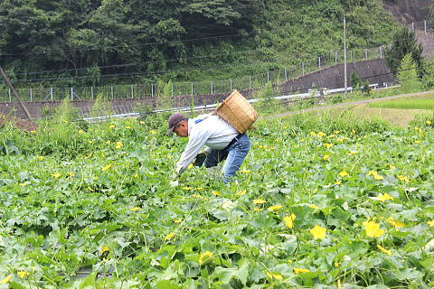 母袋有機農場 栗巣の家