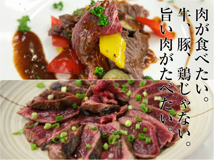 超特価 国産オーストリッチフィレ肉 食肉 1kg バーベキュー ジビエ ダチョウ ダチョウ肉